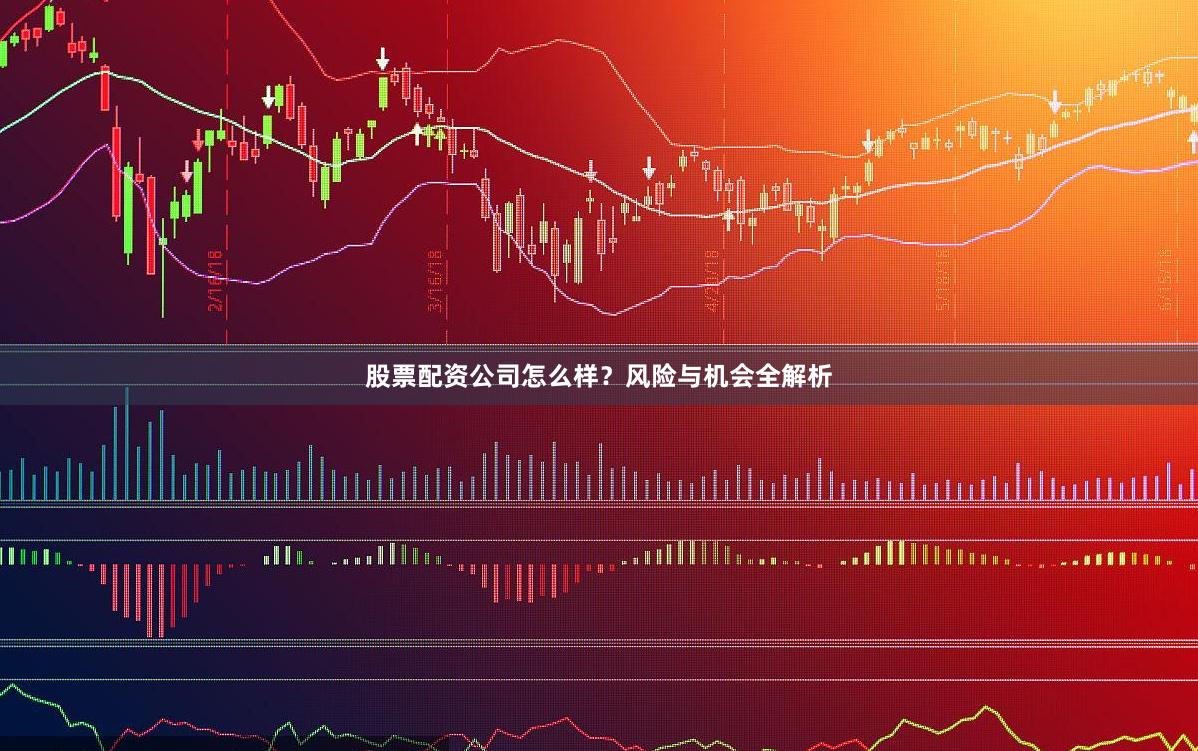 股票配资公司怎么样？风险与机会全解析