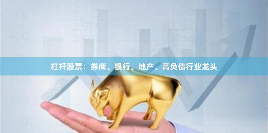 杠杆股票：券商、银行、地产、高负债行业龙头