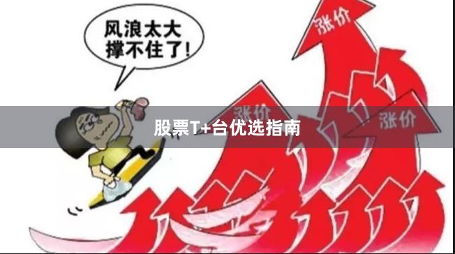 股票T+台优选指南